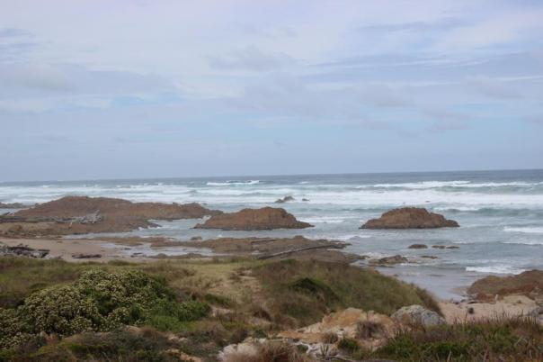 Arther-Pieman Conservation Area