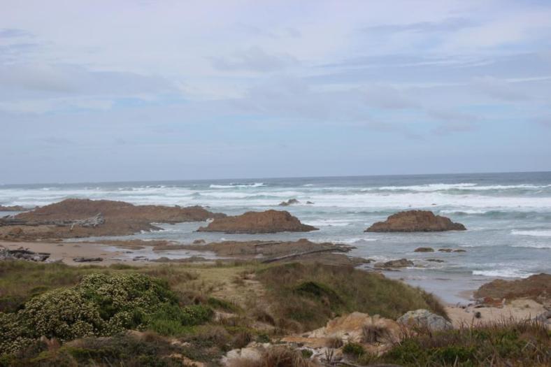 Arther-Pieman Conservation Area