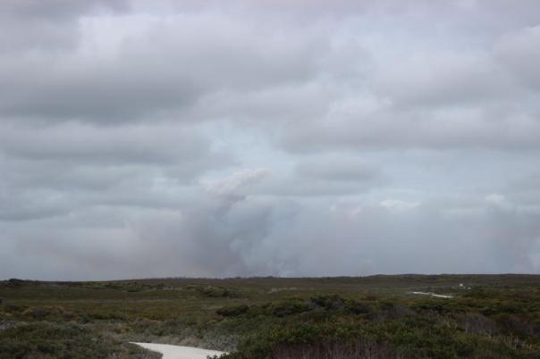 Buschbrände im Arther-Pieman Conservation Area