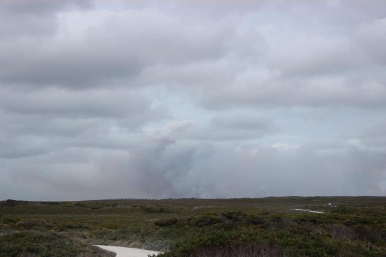 Buschbrände im Arther-Pieman Conservation Area