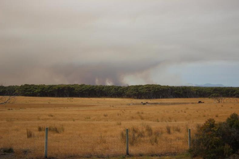 Buschbrände überall