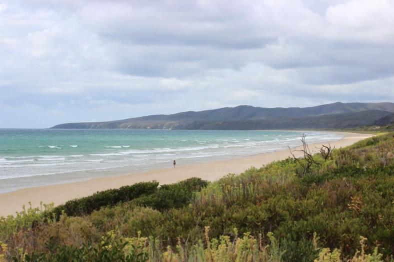 Küste im Narawntapu NP