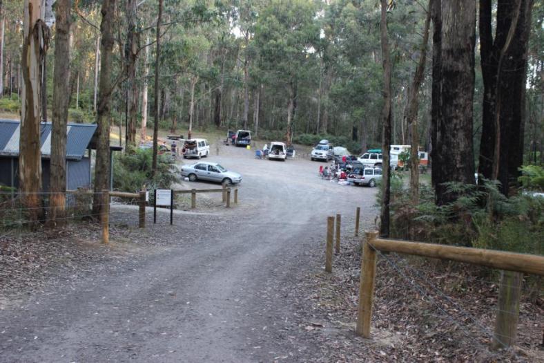Heute sind wir nicht alleine, Campingplatz bei Lorne, Great Ocean Road