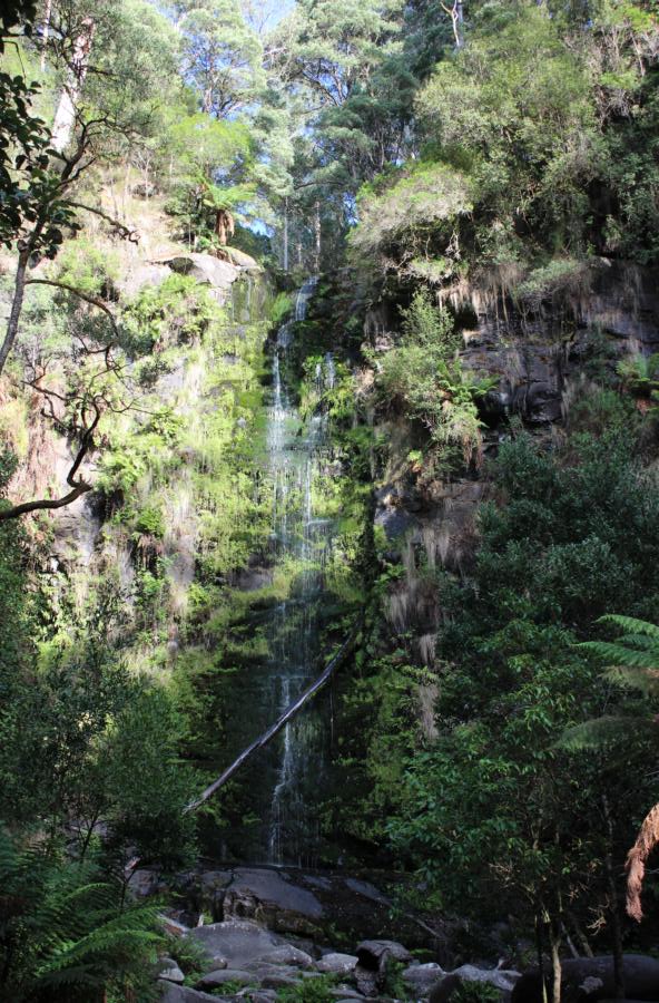 Erskine Falls, 88 Meter, Great Ocean Road