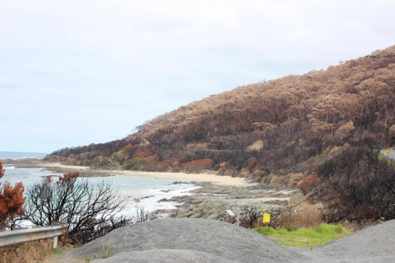 Vor ein paar Wochen war die Great Ocean Road hier wegen Brände gesperrt
