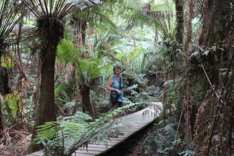 Maits Rest, Great Ocean Road