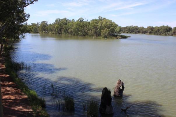 Australiens zwei größten Flüsse, der Murray und der Darling River, fließen zusammen, Wentworth