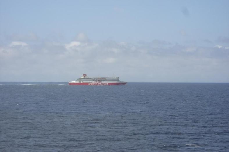 Treffen auf der Überfahrt nach Melbourne die New Spirit of Tasmania auf dem Weg nach Tasmanien