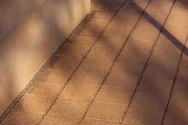 Ameisen überall, Campingplatz, Mutawintji NP