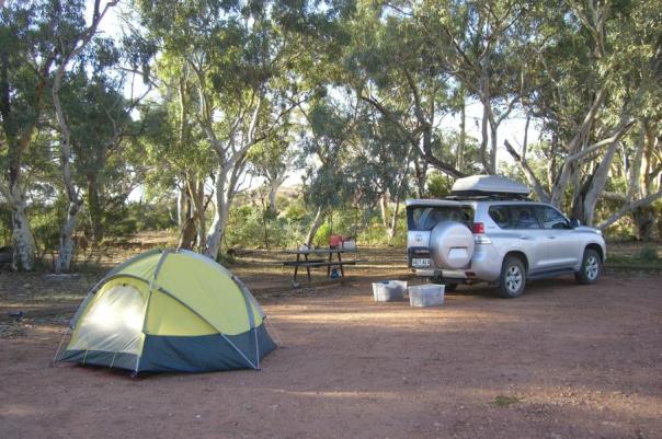 Flucht vor den Ameisen auf diesem Campingplatz, Mutawintji NP