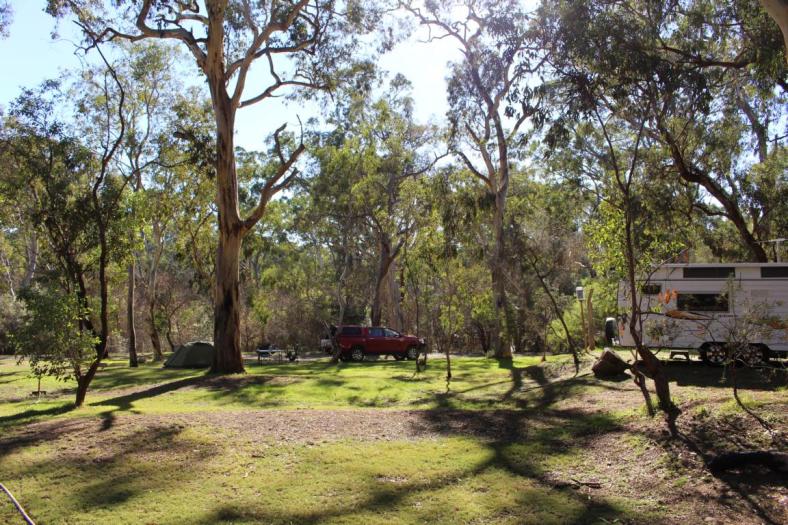 Campingplatz, Belair NP, Adelaide