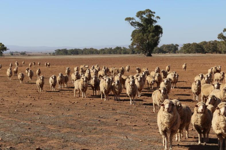 Wir erregen Aufmerksamkeit