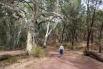 Flinders Ranges NP