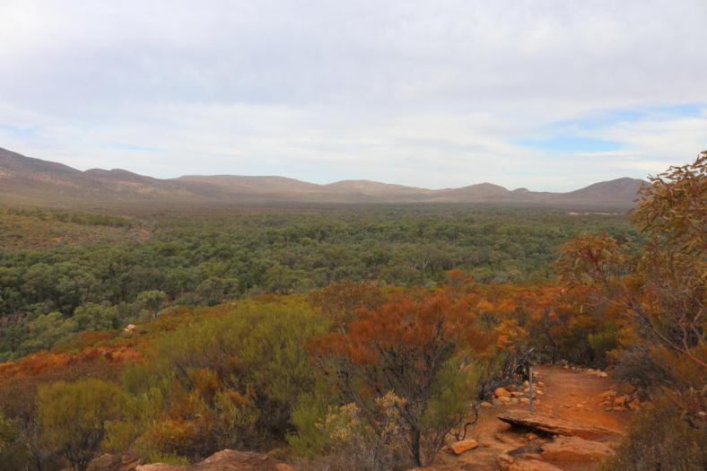Blick auf den Pound, Flinders Ranges NP