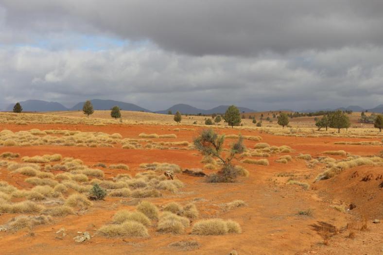 Flinders Ranges NP