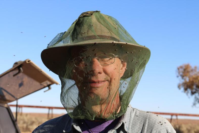 Sehr lästig diese Fliegen, Oodnadatta Track