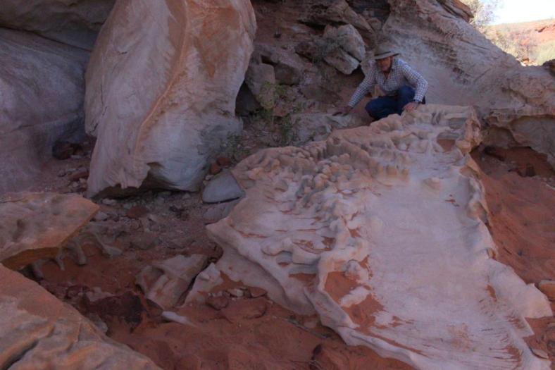 Mushroom Rock, Rainbow Valley Conservation Reserve