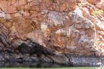 Mutiger Kletterer, Ormiston Gorge, West MacDonnell Ranges