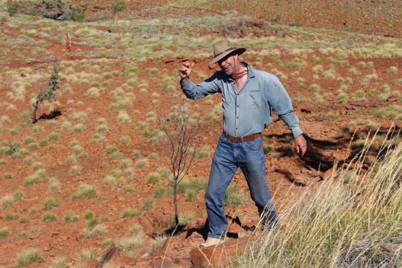 Heftiger Wind am Mount Herbert