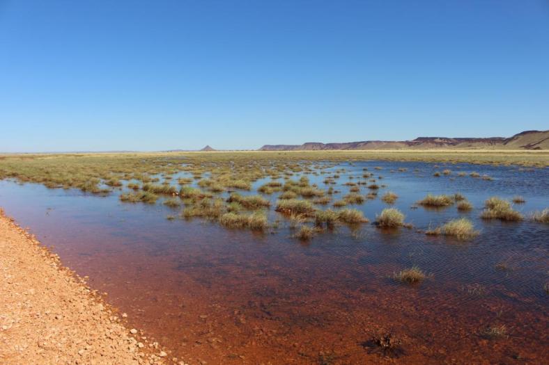 Auf dem Weg nach Port Hedland