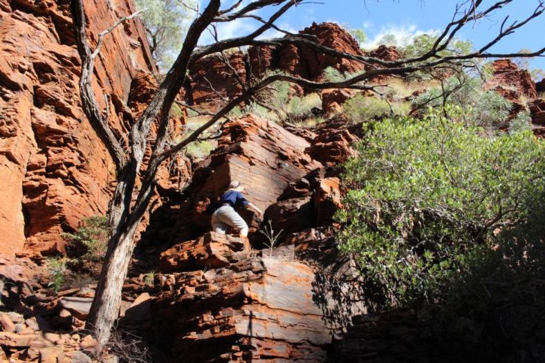 Da geht es ganz schön steil hoch, Knox Gorge