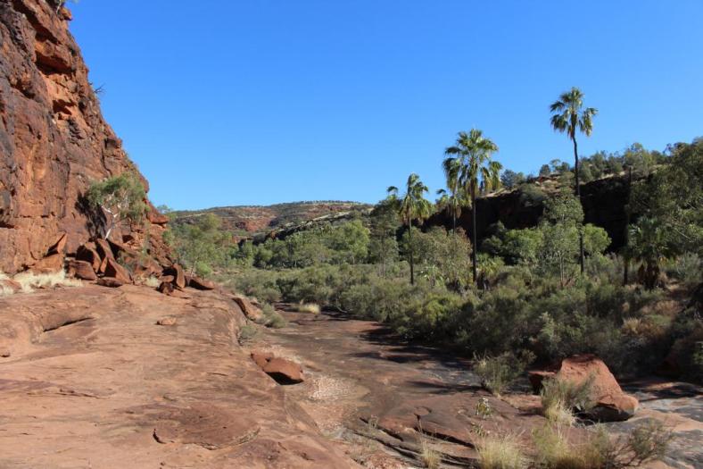 Wanderung im Palm Valley
