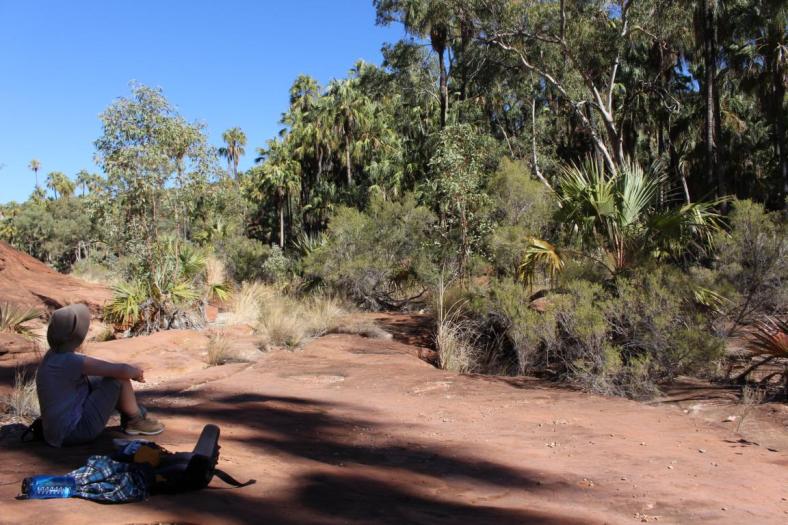 Wanderung im Palm Valley