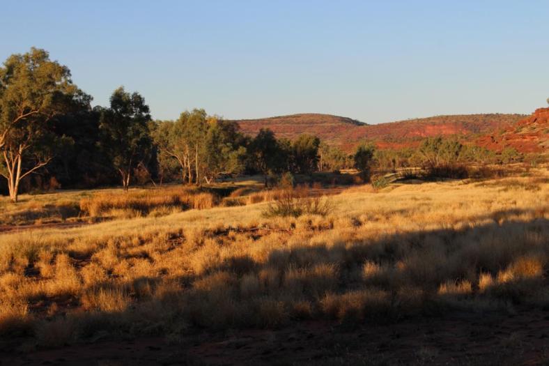 Campingplatz, Finke Gorge NP