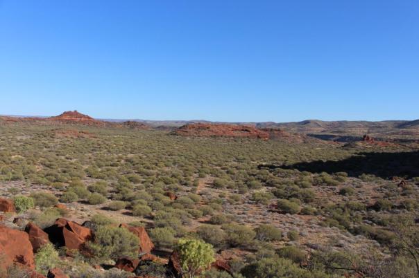 Wanderung Finke Gorge NP