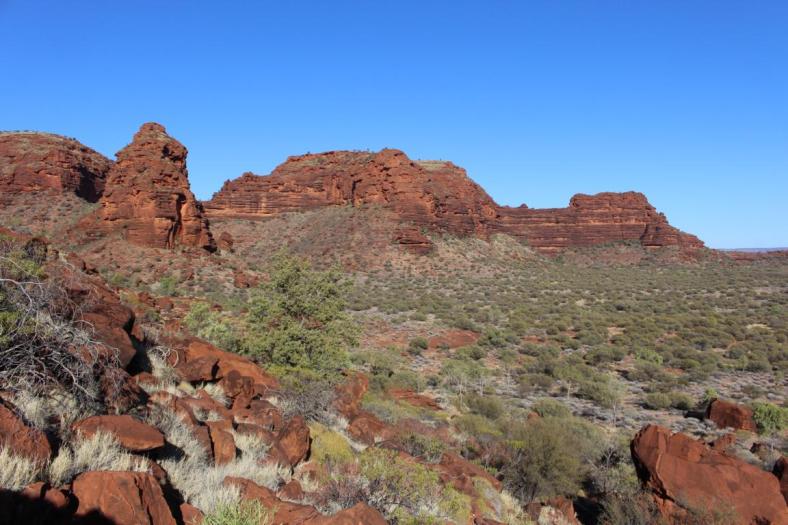 Wanderung Finke Gorge NP