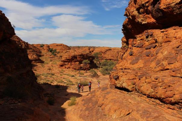 Wanderung Kings Canyon