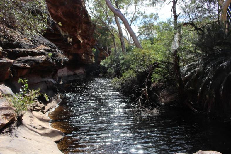 Wanderung Kings Canyon, Garden of Eden