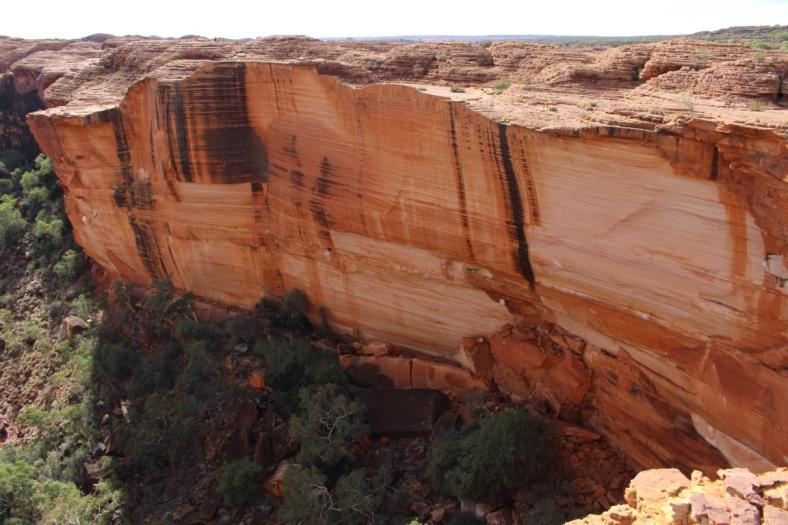 Wanderung Kings Canyon