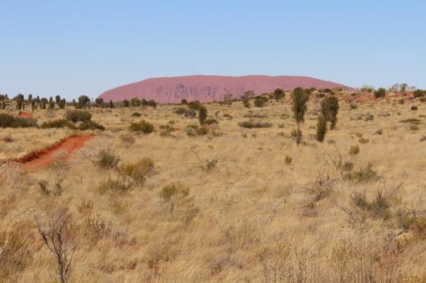 Der Uluru ist schon in Sicht