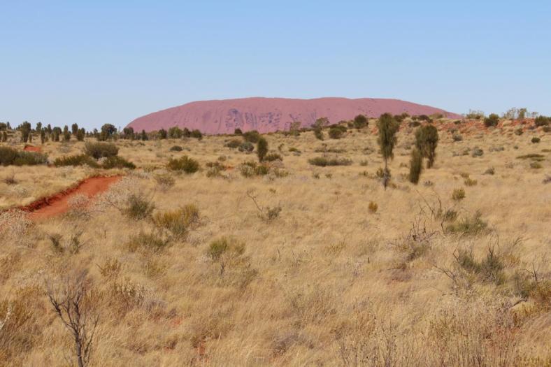 Der Uluru ist schon in Sicht