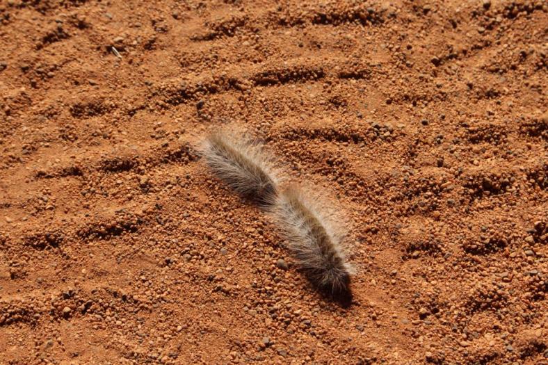 Da haben sich zwei gefunden