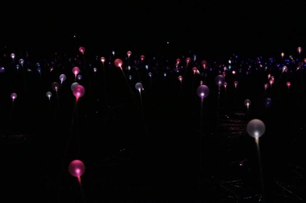 Field of Light Uluru
