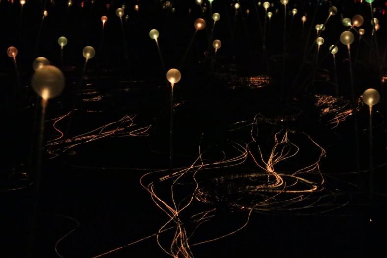 Field of Light Uluru