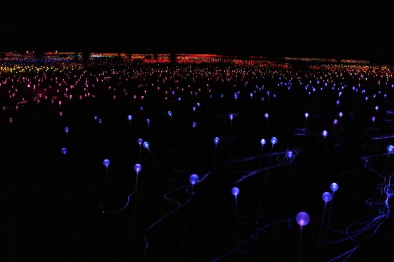 Field of Light Uluru