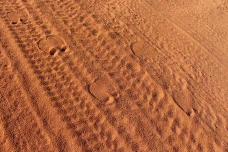 Reisegenossen, Kamelspuren auf der Straße