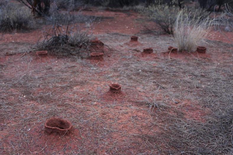 Wer wohnt denn da drin ......