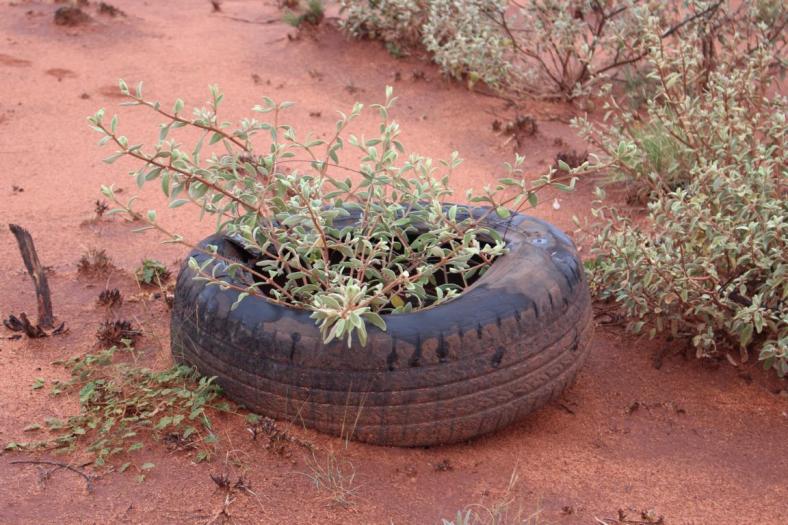 Die Natur sucht sich ihren Weg, Great Central Road