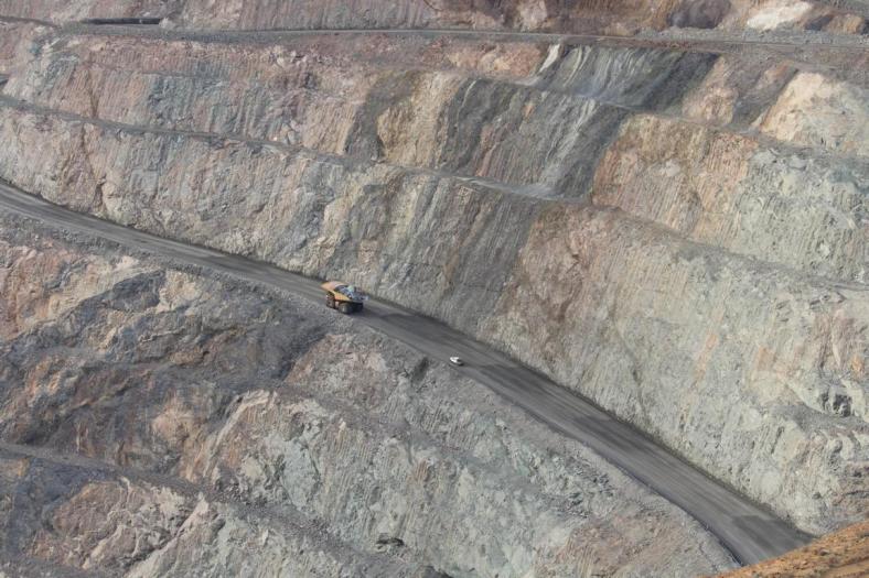 Der Kleine da hinten ist ebenfalls ein Hilix wie Blue