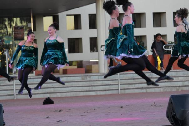 Multi Cultural Festival