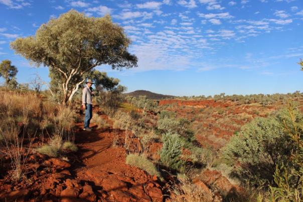Abendspaziergang an der Dales Gorge