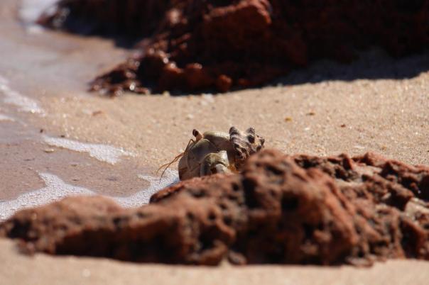 Huch, wer kommt denn da um die Ecke