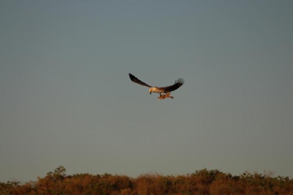 Erst mal inspizieren was ich da habe