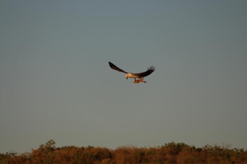 Erst mal inspizieren was ich da habe