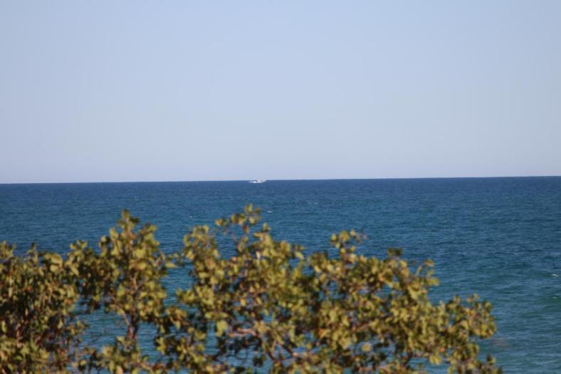 Da plantscht ein Wal