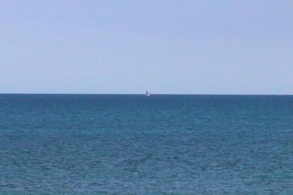 Etwas entfernt springt ein Wal